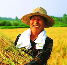 用吉姆克秸稈顆粒機(jī)，讓廢秸稈變大財富!