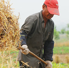 家用飼料顆粒機(jī),助我年利潤翻番！